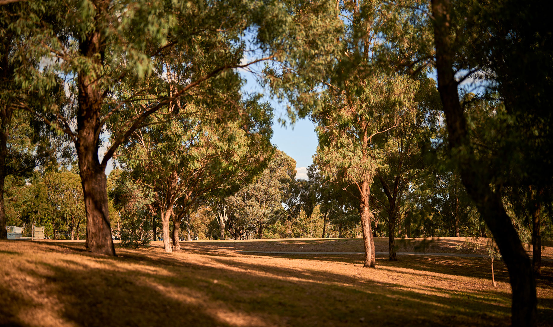 Elsternwick Park 